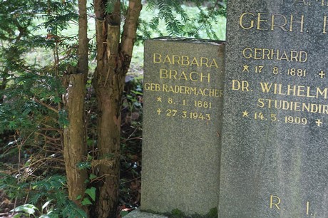 Kessenich