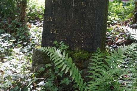 Kessenich