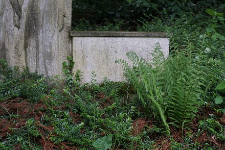 Kessenich
