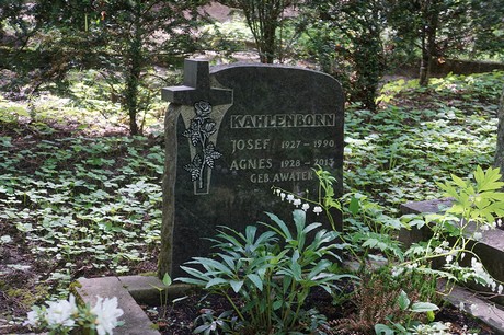Kessenich