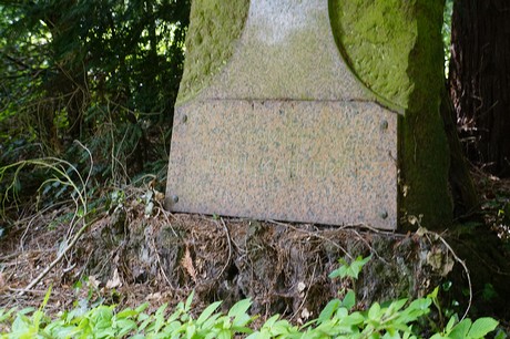 Kessenich
