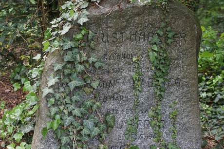 Kessenich