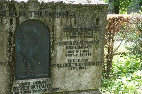 Kessenich