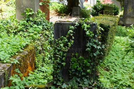 Kessenich