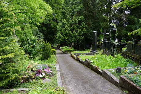 Kessenich