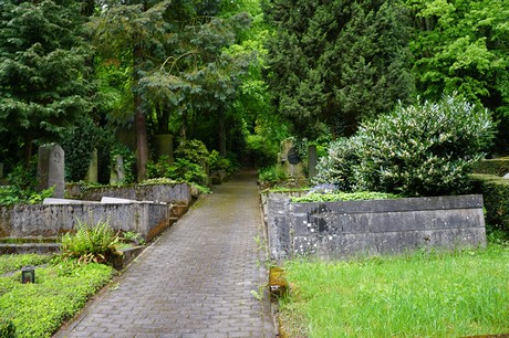 Kessenich