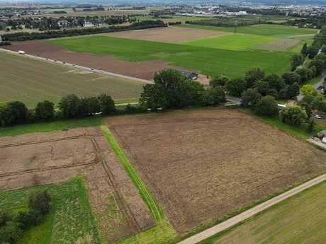 Kessenich