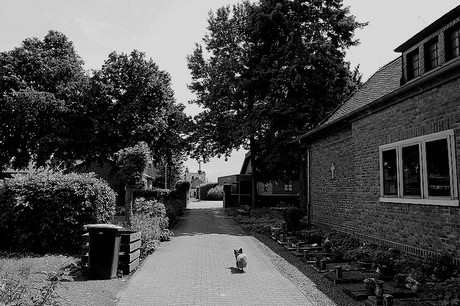 Kirchtroisdorf