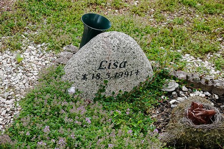 Kommern