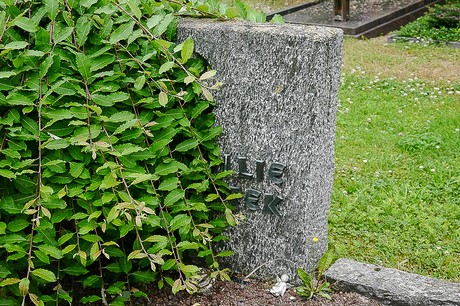 Kommern