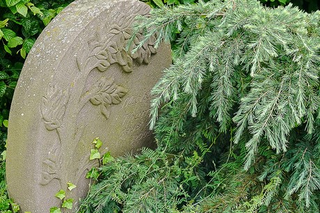Kommern