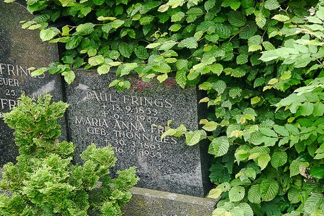 Kommern