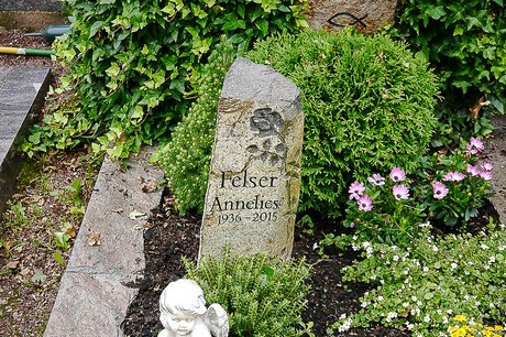 Kommern
