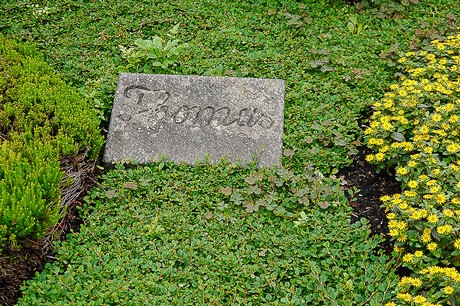 Kommern