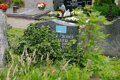 Kommern