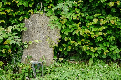 Kommern