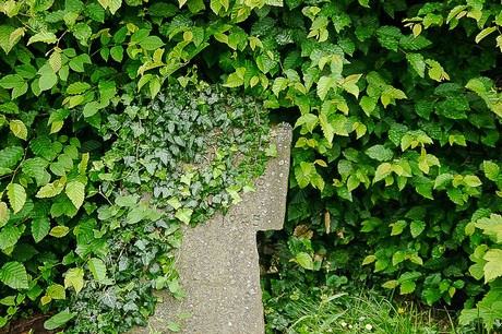 Kommern