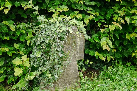 Kommern