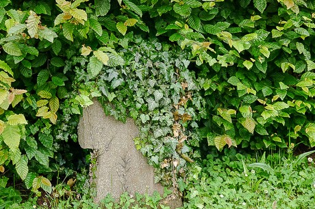 Kommern