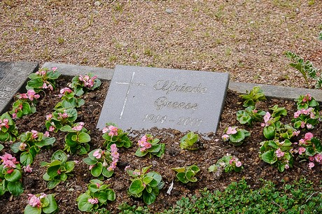 Kommern