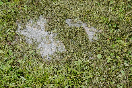 Kommern