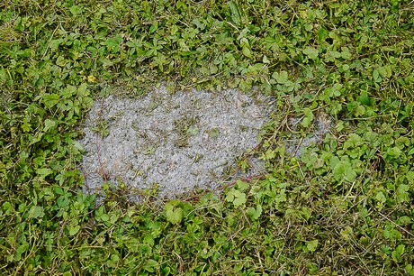 Kommern