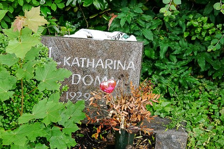 Kommern