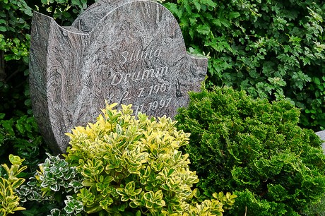 Kommern