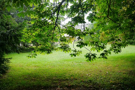 Kommern