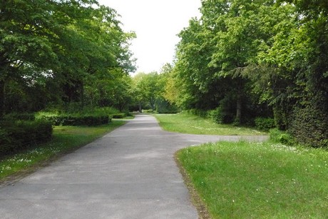 Kottenforst