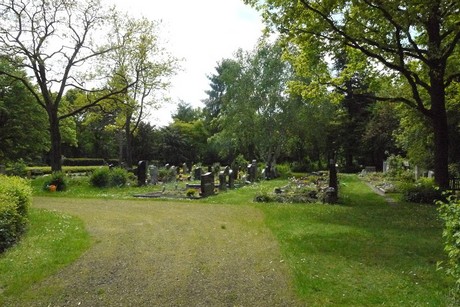 Kottenforst