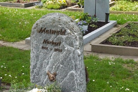 Kottenforst