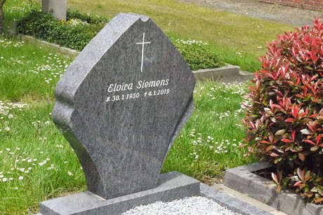Kottenforst