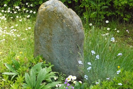 Kottenforst