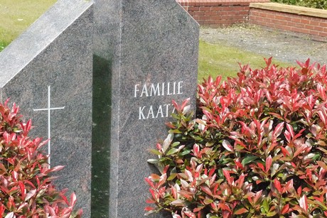 Kottenforst