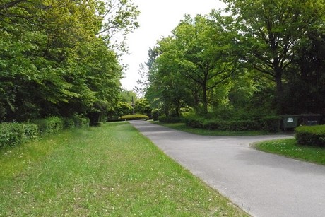 Kottenforst