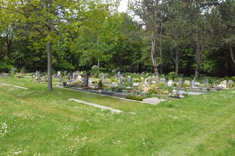 Kottenforst