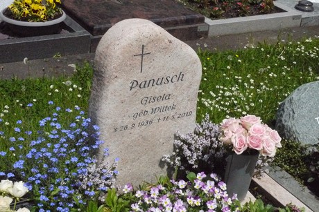 Kottenforst