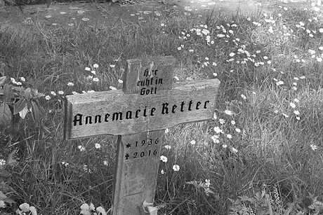 Kottenforst