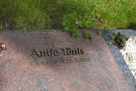 Kottenforst