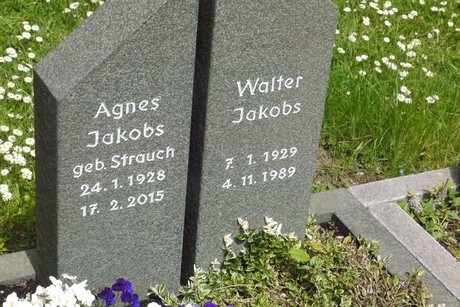 Kottenforst