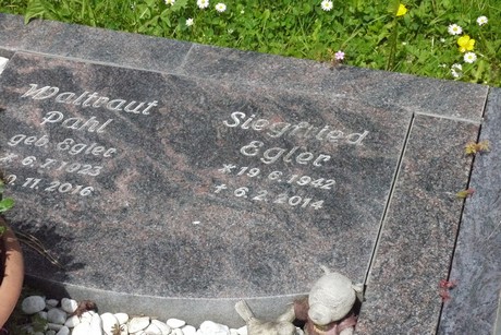 Kottenforst