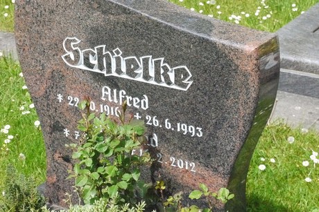 Kottenforst