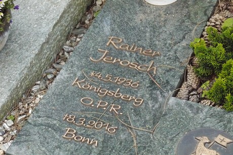 Kottenforst