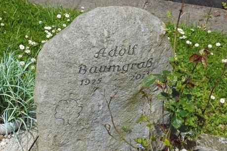 Kottenforst