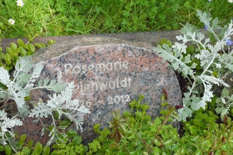 Kottenforst