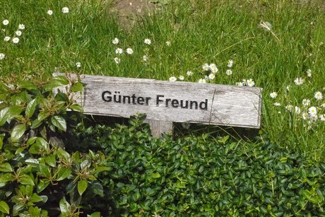 Kottenforst