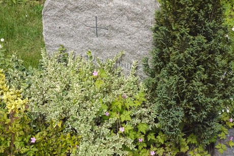 Kottenforst
