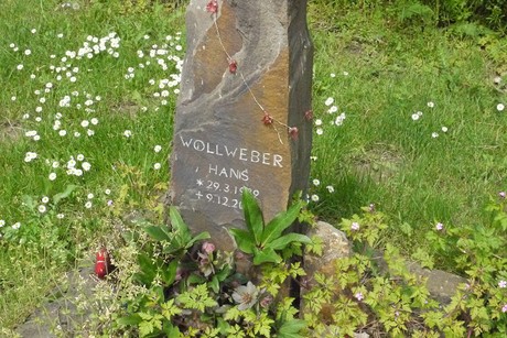 Kottenforst