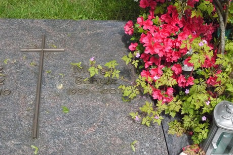Kottenforst